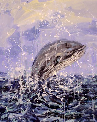baleia 80X70 300