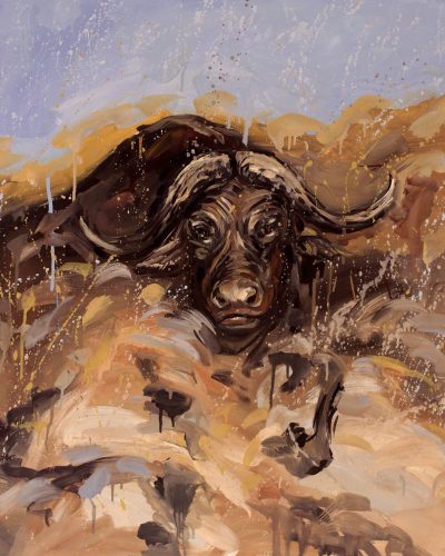 búfalo 80X70 300
